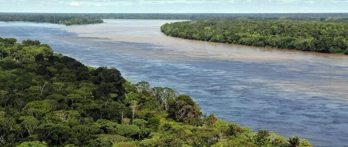 Бразилия дождевые леса Амазонии