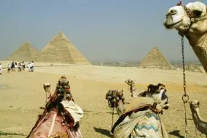 Курорты Египта